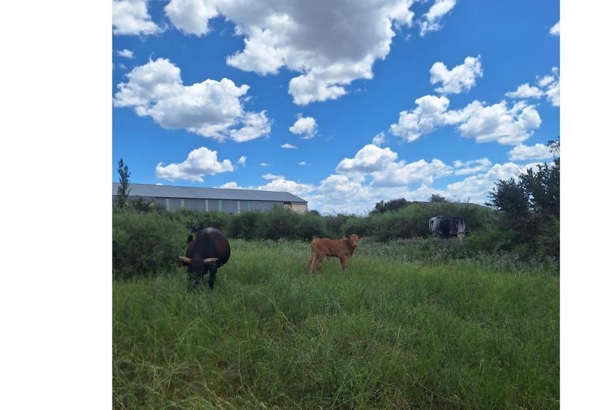0 Bedroom Property for Sale in Klerksdorp Rural North West